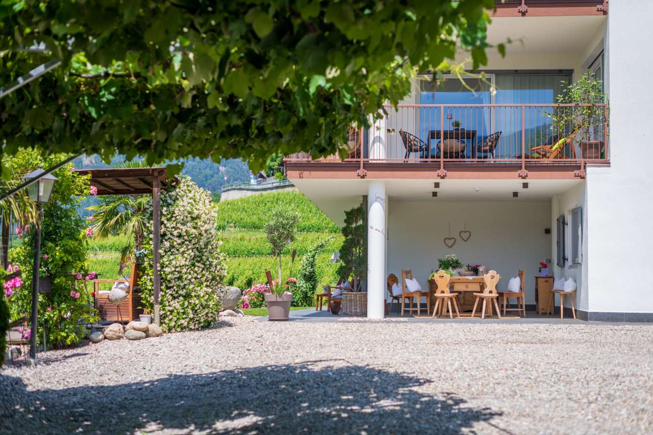 20250618124552-DSC_3045