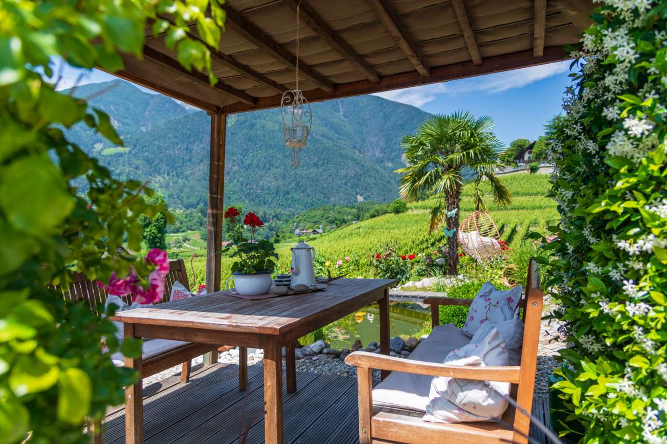 20250618124806-DSC_3054