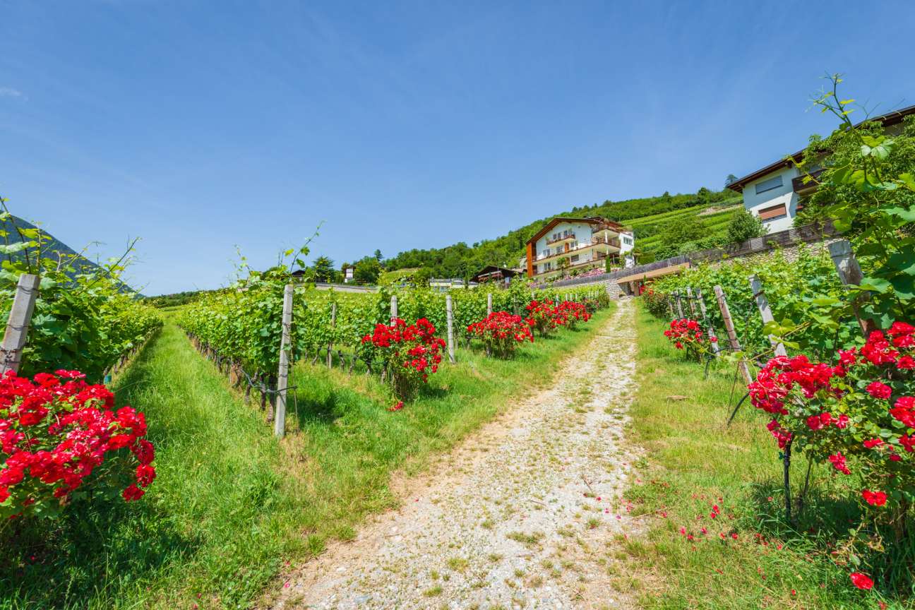 20250618141344-_8000752