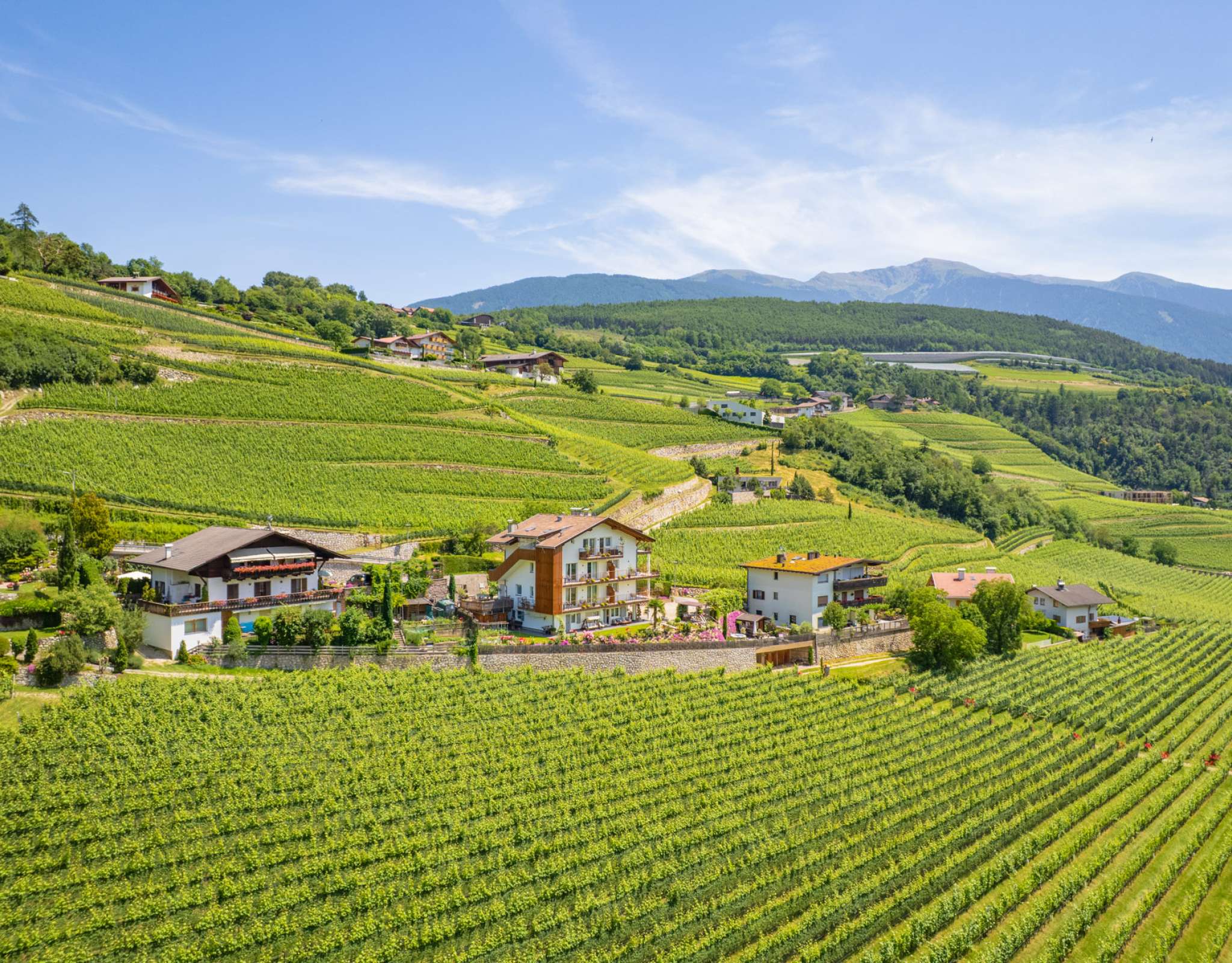 20250618132731-DJI_0548