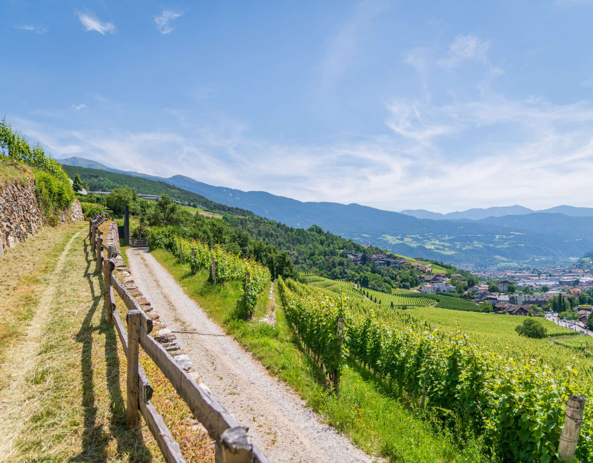 20250618134724-DSC_3114