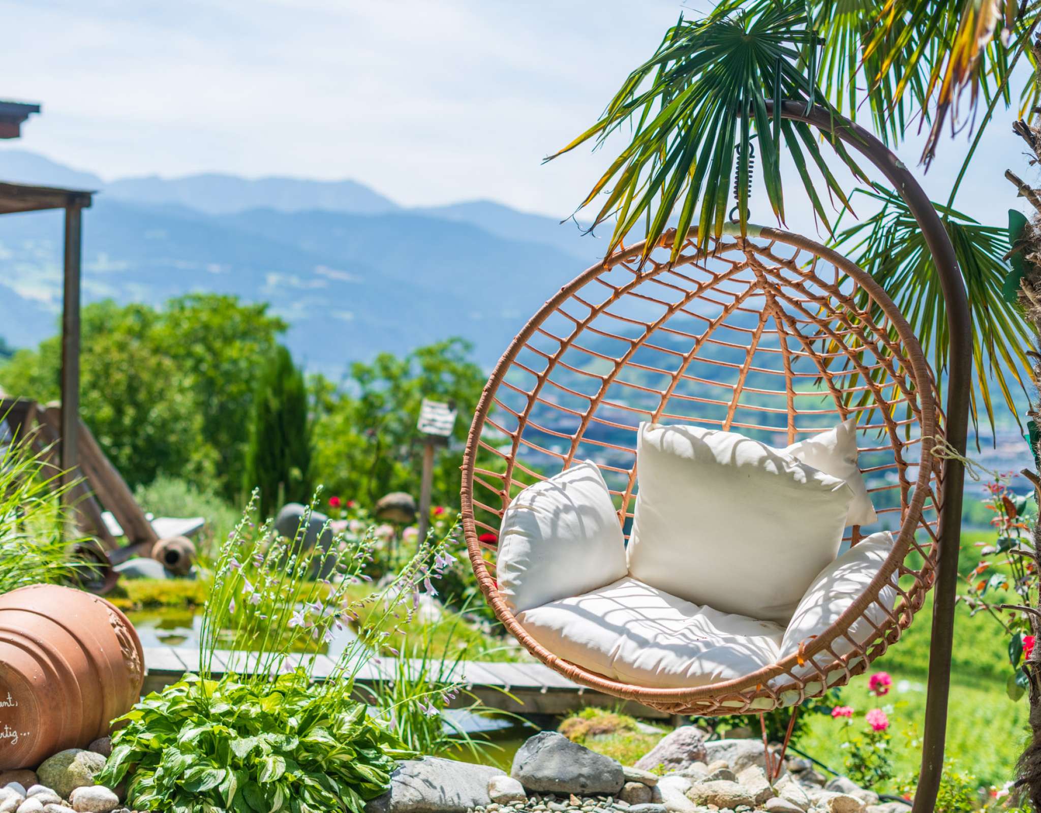 20250618123659-DSC_3016