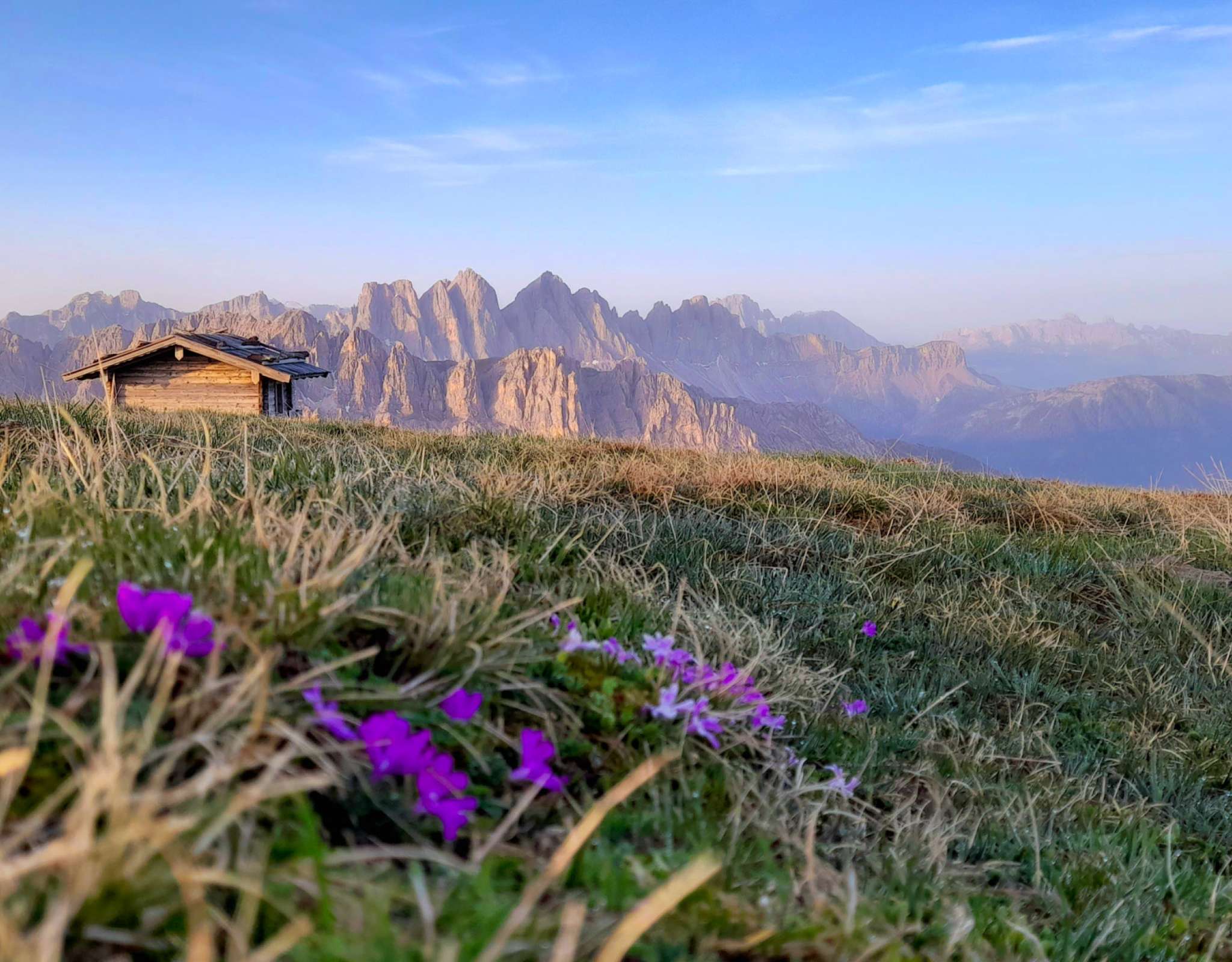 20220605060308-20220605_060309