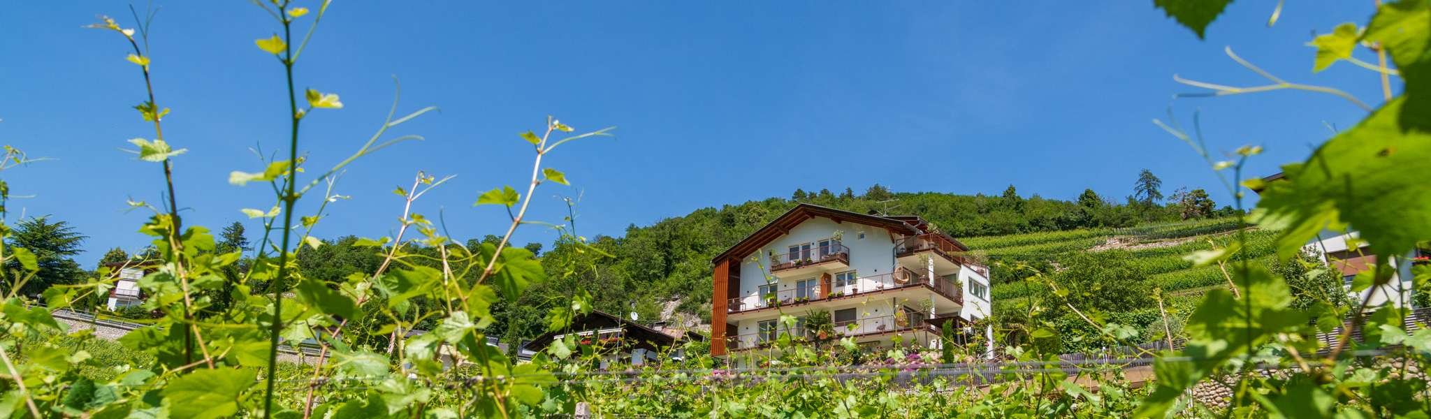 20250618141233-DSC_3235