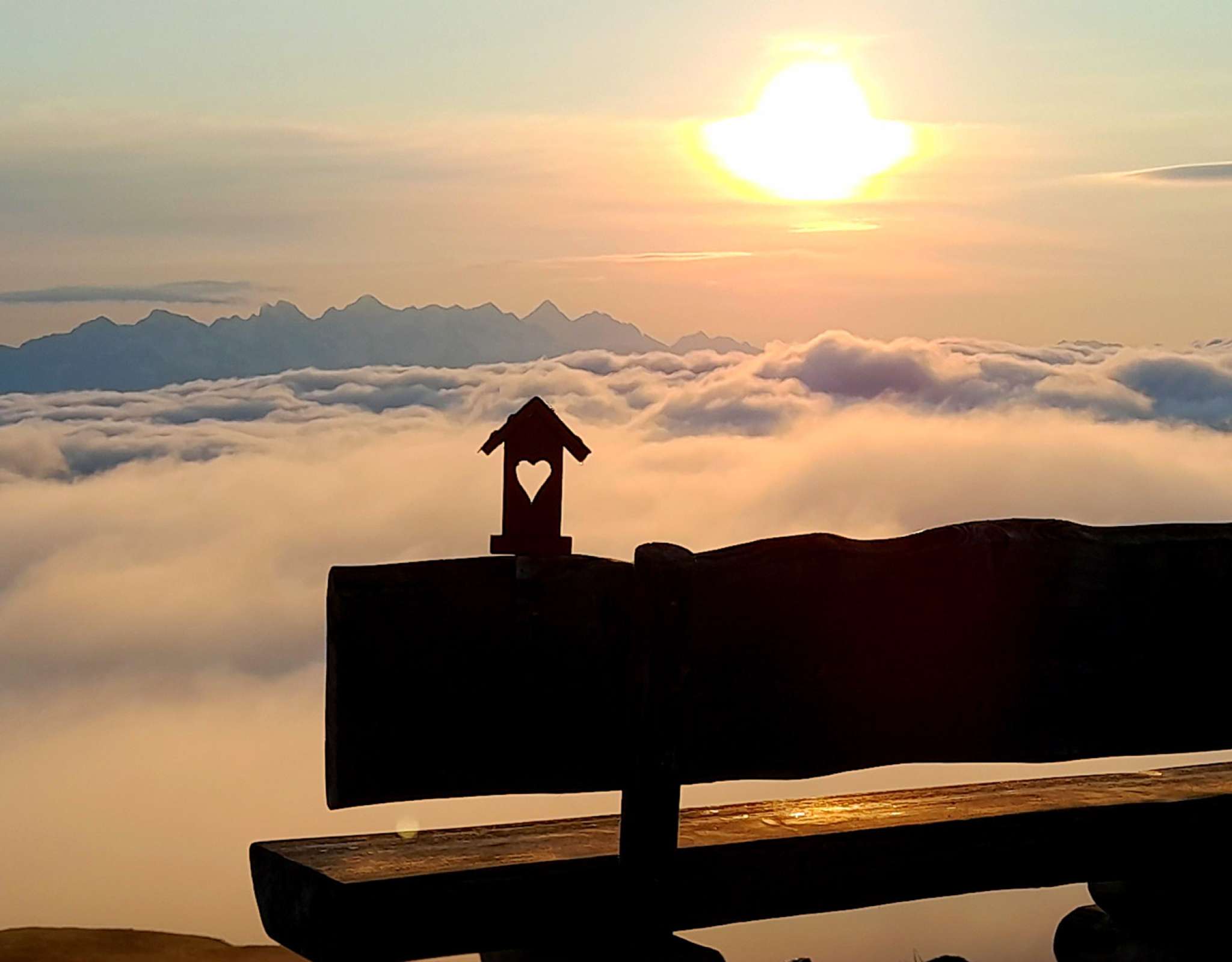 20230607060516-20230607_060516